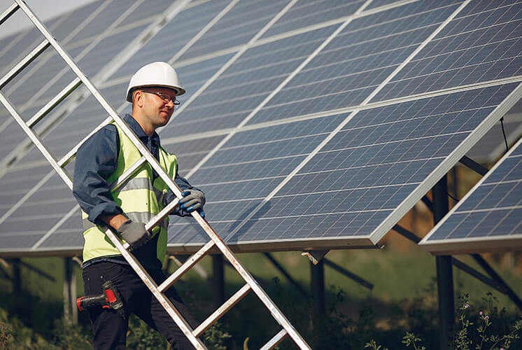 Alpha Roofs - Roofing Services